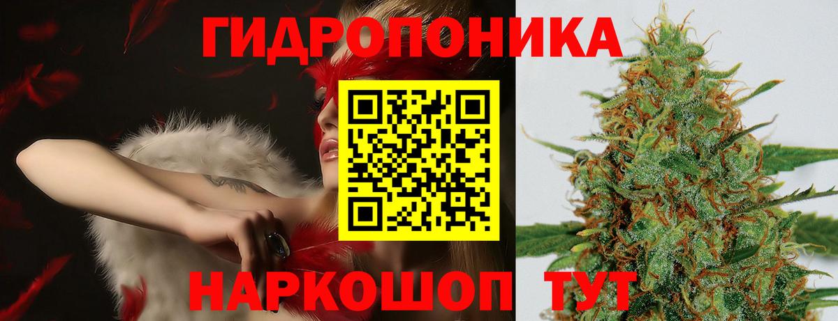 Каннабис ГИДРОПОН  Бошки марихуана Bruce Banner  Шишки марихуана Amnesia  Вход с VPN  Соль-Илецк 